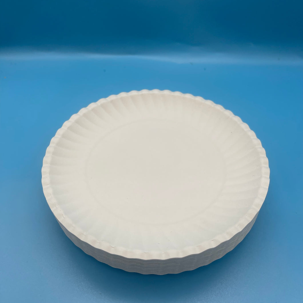 SpruceBox Disposable dinnerware, namely, {indicate specific items, e.g., plates, bowls and serving trays},100 Pack Compostable Disposable Paper Plates 10 inch Super Strong Paper Plates 100% Bagasse Natural Biodegradable Eco-Friendly Sugarcane Plates.