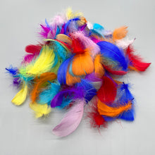 Load image into Gallery viewer, Fuiuo Feathers for ornamentation,450+ Pcs Colorful Nature Feathers, Art Crafts Decorative Goose Feather for Dream Catchers Headband Jewelry Making Wedding Themed Party Festivals.
